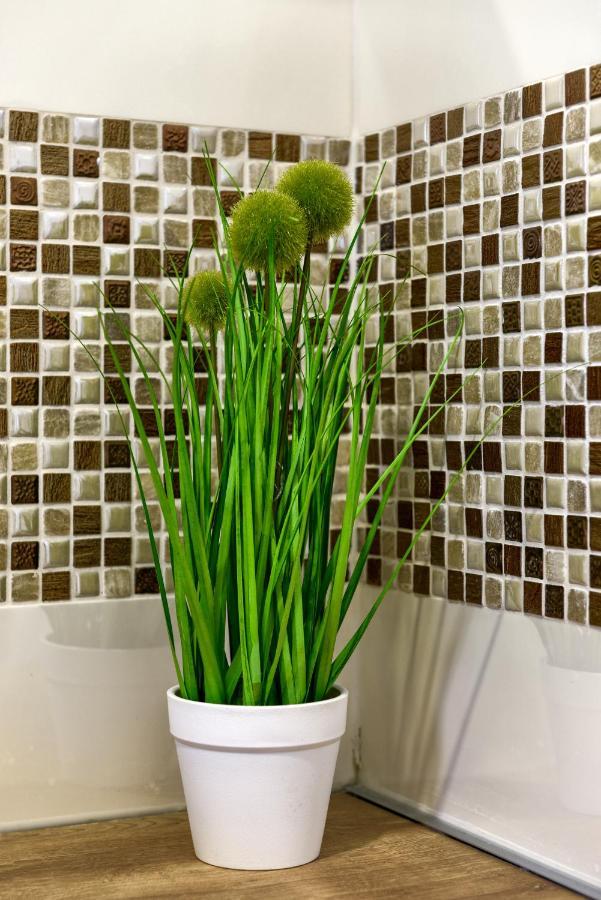 Ivy Apartament *